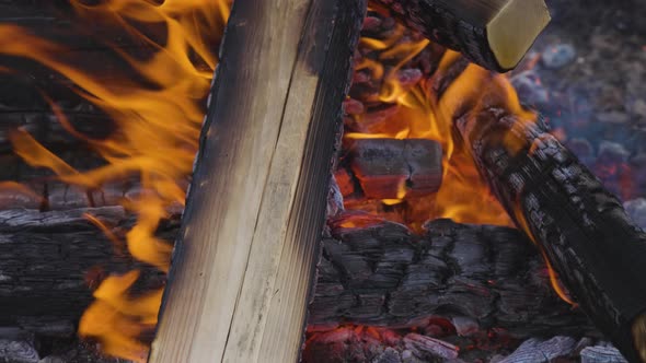 Close Up Picture of Wood Burning in a Camp Fire