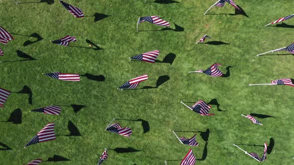 Rising view rotating looking down at flags in a park alt