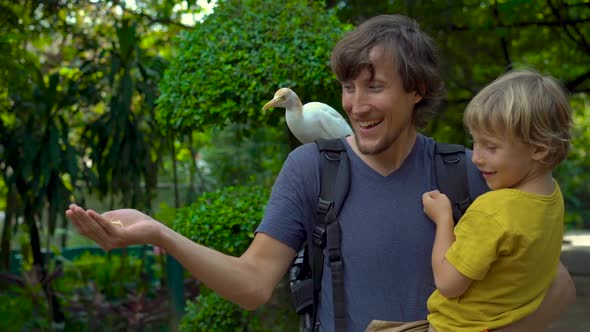 Super Slowmotion Shot of a Young Man and His Little Son Have Fun in a Bird Park and Feed White