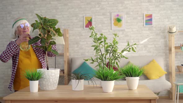 Positive Older Woman Gardening Sprays Home Plants in Her Living Room