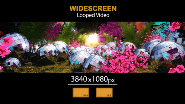 Widescreen Mirror Balls Forest Flowers 01