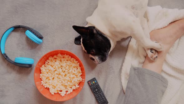 Top View Guy Watch Tv in Flat