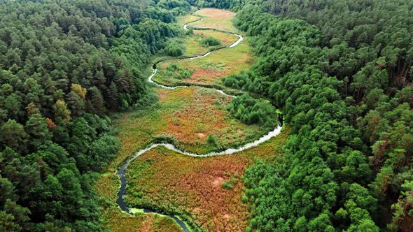 Aerial view of winding river in autumn in Poland