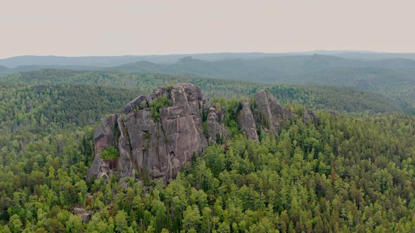 The mount in the wild nature The wild forest