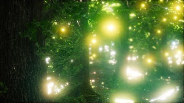 Firefly Flying in the Forest