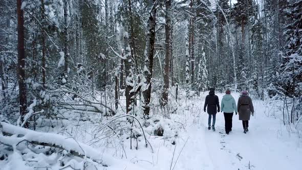 Man and Women Have Fun Walking Along Dense Forest