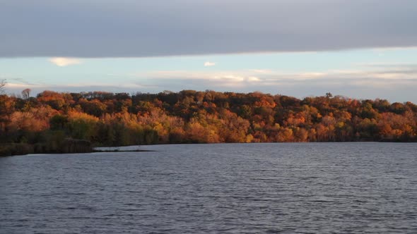 Scenic view of lake waves and autumn forest