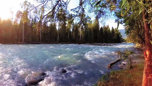 Meadow at Mountain River Bank. Landscape with Green Grass, Pine Trees and Sun Rays. Movement on