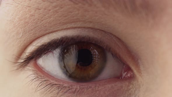 Extreme Closeup of Woman's Eye