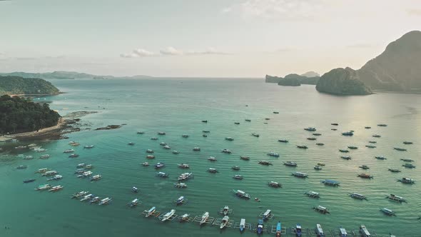 Aerial Tropic Harbor with Boats Ships Vessels at Ocean Coast