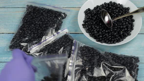 Packages with Blueberries in Zipper Plastic Bags for Freezing. Frozen, Preservation Berries Food