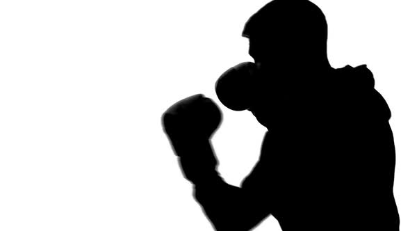 Silhouette of Athletic Man in Sports Suit Training in Gym, Shadow-Boxing