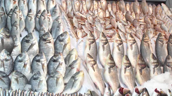 Fish and bream on the counter.