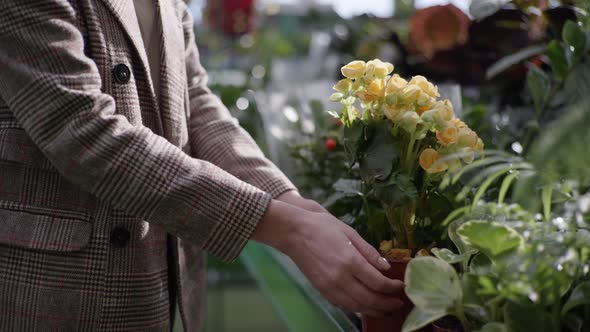 Female Buyer, Gardener Chooses Flowering Plant in Pot for Decoration of Home or Office in Greenhouse