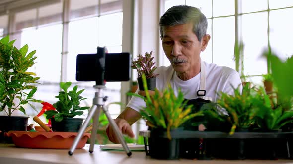 Senior gardener man selling beautiful plants on social media by streaming live from his shop.