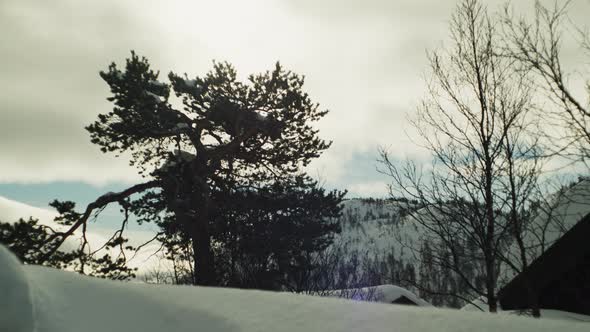 Trees And Wooden Buildings Under Heavy Snow