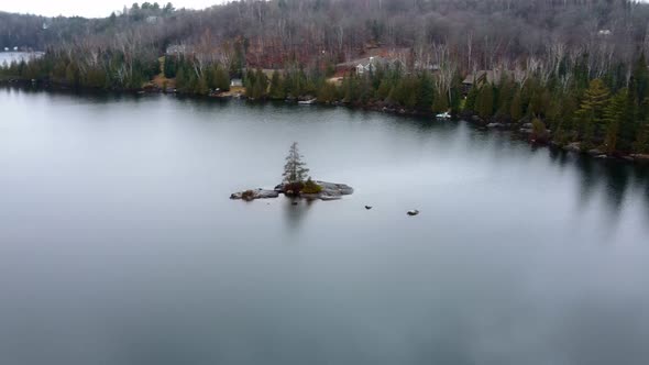 Arround a Tree on an island, during fall in Laurentide Quebec