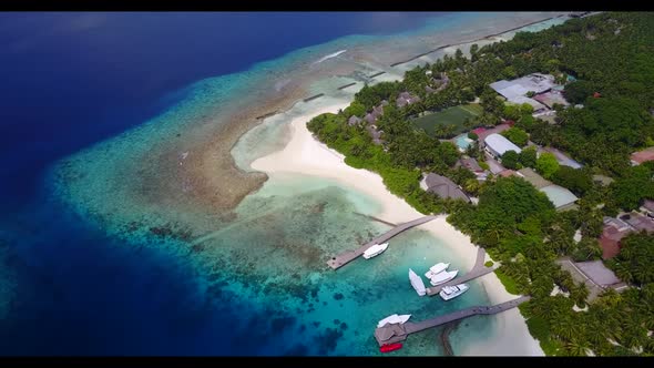 Aerial drone shot travel of tranquil seashore beach wildlife by turquoise lagoon with white sand bac