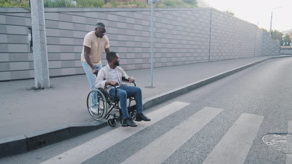 African American Adult Man Crossing Road at Crosswalk Pushing Young Bearded Guy on Wheelchair