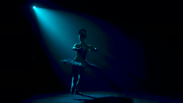 Silhouette of a Graceful Ballerina in a Chic Image of a Black Swan. Dancing of Elements Classical