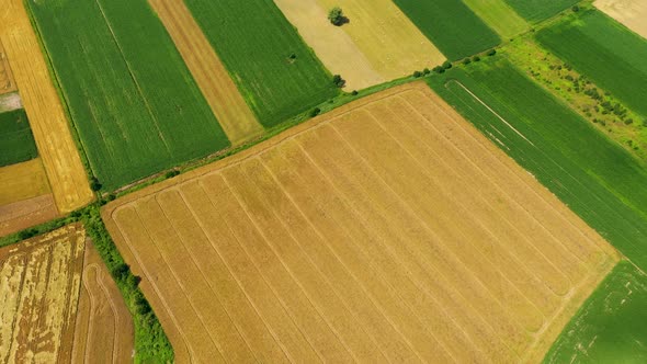 Vertical stripes of agricultural parcels of different crops. Aerial view shoot from drone directly a