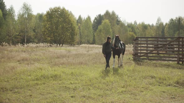 A Beautiful Woman Takes a Horse By the Bridle and Goes with It To the Forest in the Autumn in the