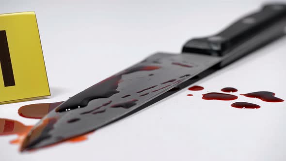 At the Crime Scene, a Knife in the Blood, Close-up