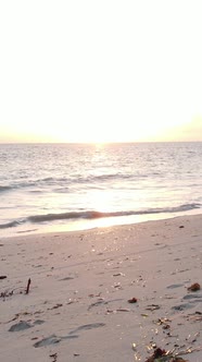 Tanzania  Vertical Video of a Coastal Landscape in Zanzibar Slow Motion