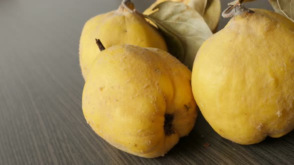 Quinces on the table close-up 4K 2160p 30fps UltraHD panning  footage - Tasty edible  Cydonium slow 