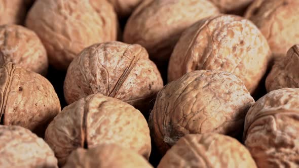 Lot of Walnuts in the Shell are Spinning on a Black Background