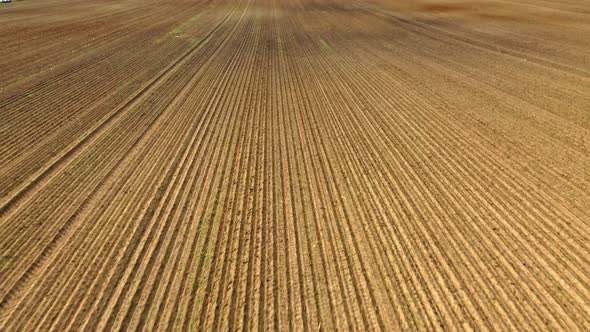 Plowed field in autumn. Aerial view of agriculture in Poland