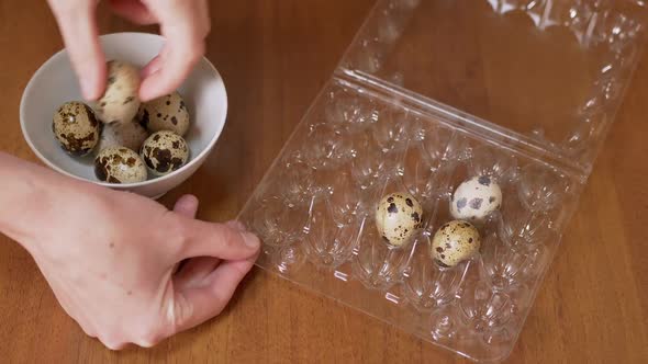 Female Hands Taking Spotted Quail Eggs From Plastic Box Lays on the Table