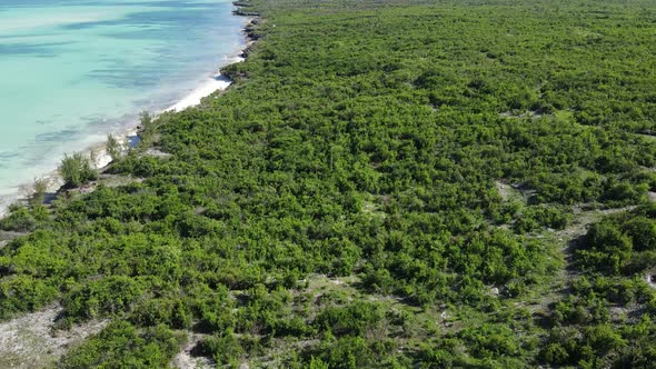 Coast of Zanzibar Island Tanzania Covered with Thickets