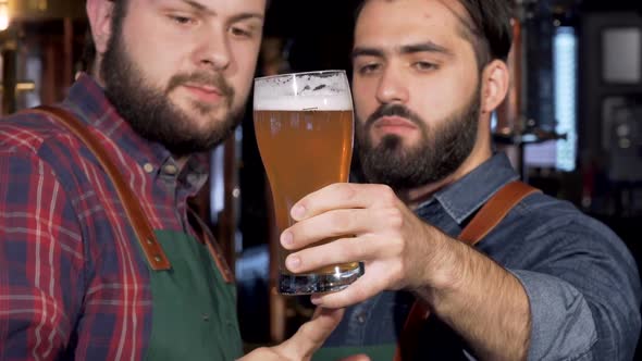 Professional Brewers Examining Delicious Craft Beer in a Glass