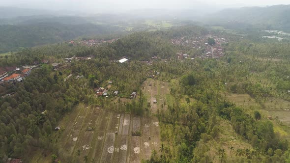 Tropical Landscape with Agricultural Land in Indonesia