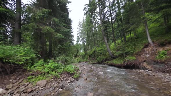 Smooth Rapid Flight Over a Mountain River Close to the Water Among a Dense Forest