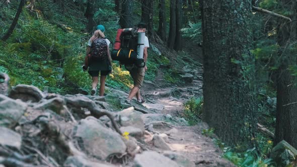 Couple of Tourists with Backpacks Climbing Up on Stone Trail in Mountain Forest