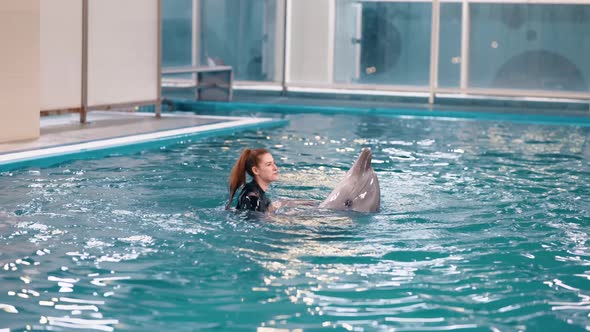 The girl swims with a trained dolphin in the pool