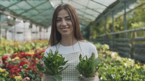 young girl farmer holding a flowerpot with greens. Greenhouse with flowers. Slow motion
