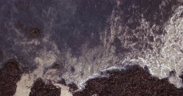 Close up of calm waves lapping onto a beach filled with seaweed