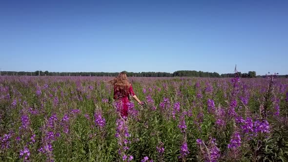 Girl in Pretty Red Spotted Dress Moves Among Violet Plants