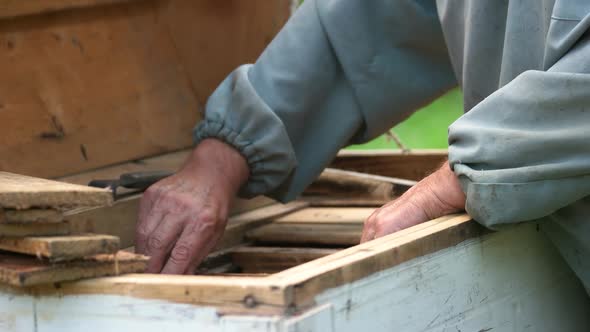 Beekeeper Working with Beehive at the Apiary