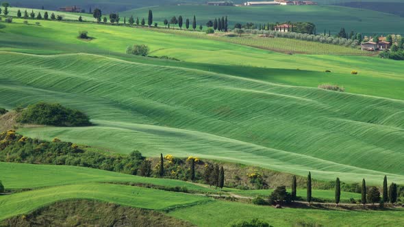 Shadows of Clouds Slide on Hills of Tuscany, Italy