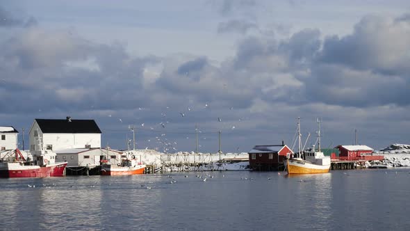 Norwegian Winter Landscape With The Multicolored Rorbu And Fishing Ships 32