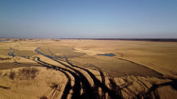 Aerial view of the lake overgrown with brown reeds, lake Pape nature park, Rucava, Latvia, sunny spr