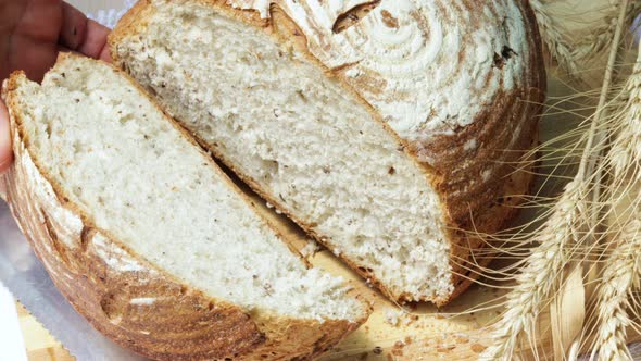 woman holding one bread slice showing the loaf interior structure.wheat ears wooden cutting board.