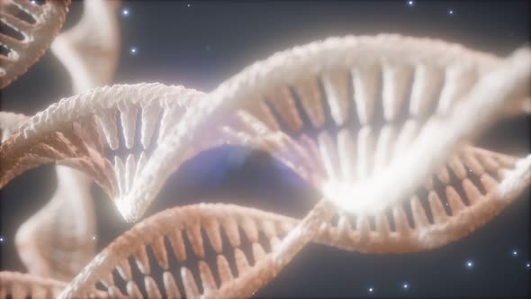 Double Helical Structure of Dna Strand Close-up Animation alt