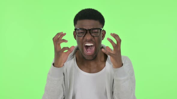 African Man Shouting Screaming on Green Background