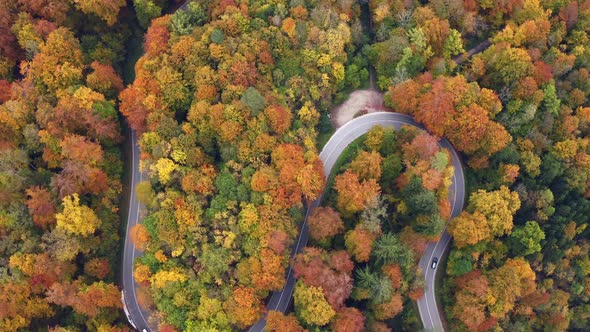 Traffic in an autumn colored forest, cars and a bus are driving along a serpentine curved street, fl