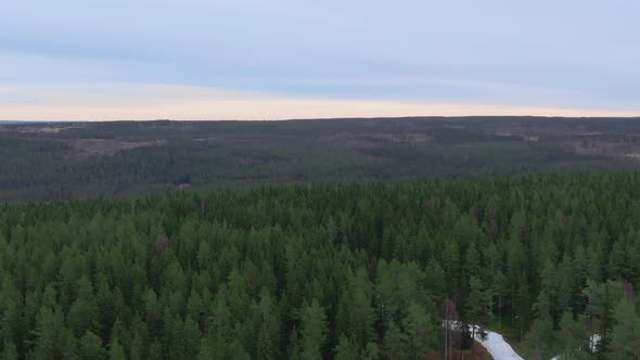 Calm panoramic flyover forest towards horizon on a fall day